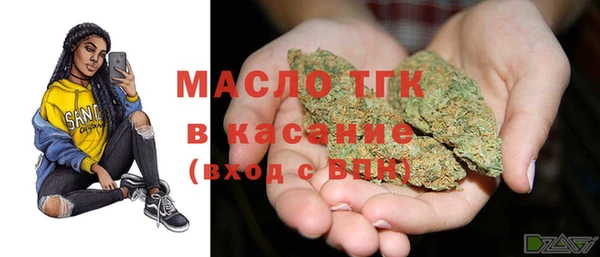 гашик Пестово