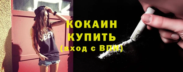шишки Абаза