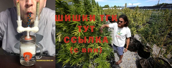 гашик Пестово