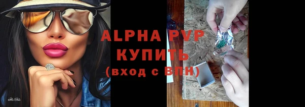 шишки Абаза