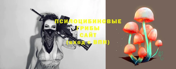 тгк Переславль-Залесский