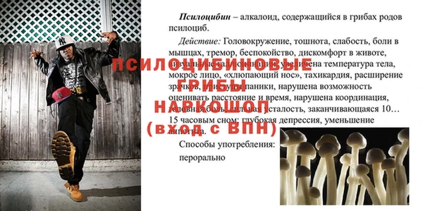 эйфоретик Нестеровская