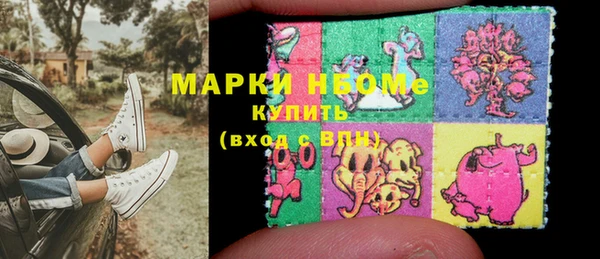 шишки Абаза