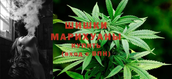 шишки Абаза