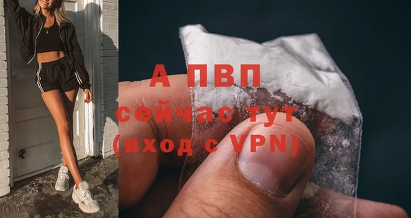 гашик Пестово