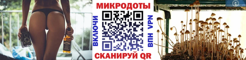 Галлюциногенные грибы Psilocybe  Верхоянск 